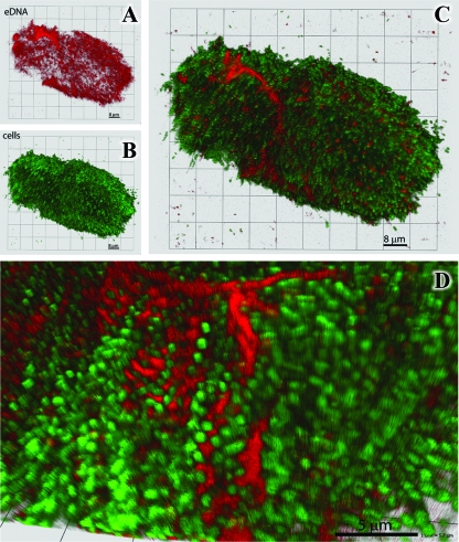 FIG. 7.