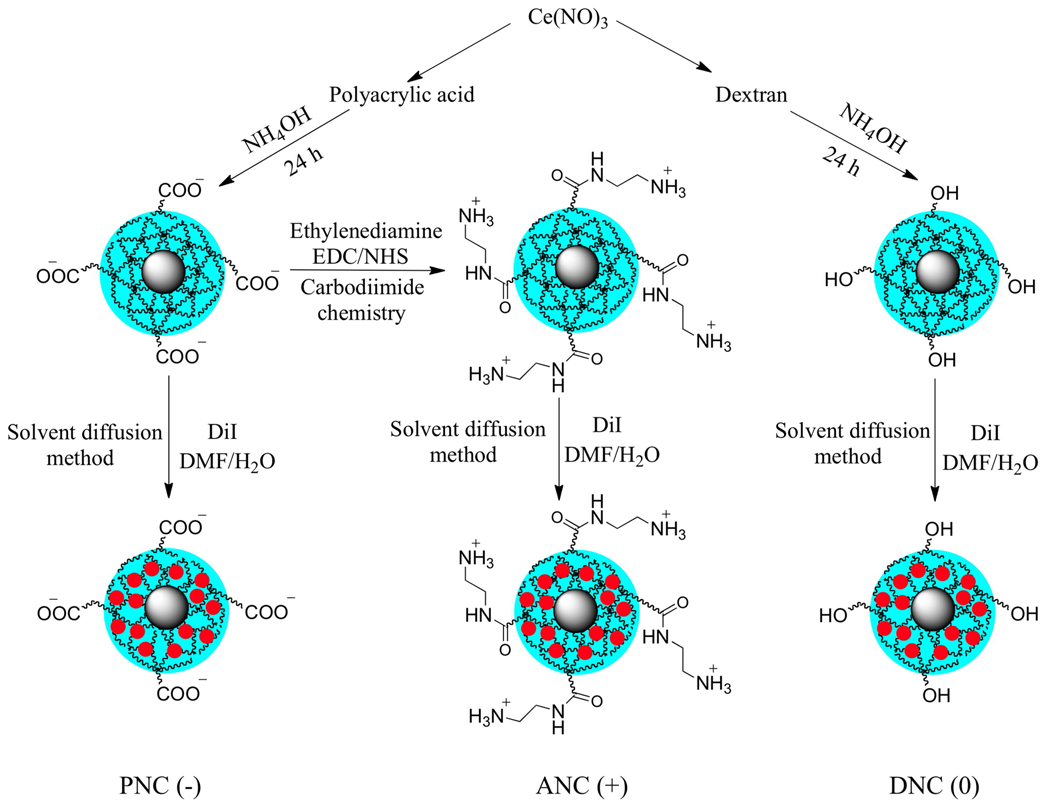 Scheme 1