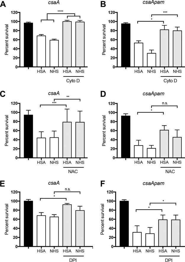 FIG 3