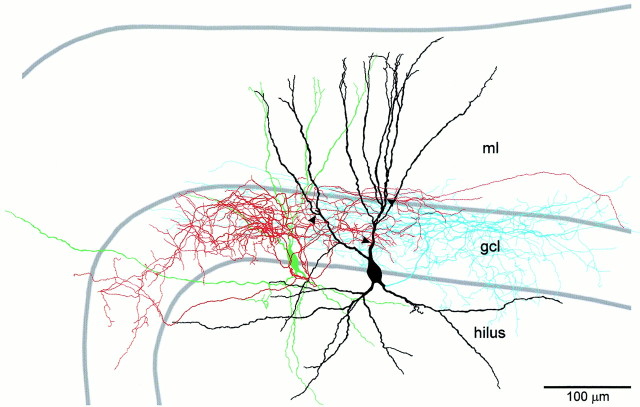 Fig. 3.