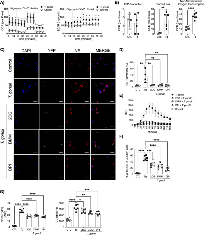 FIG 2