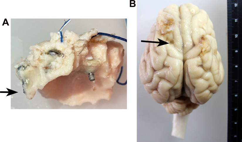 Figure 6.