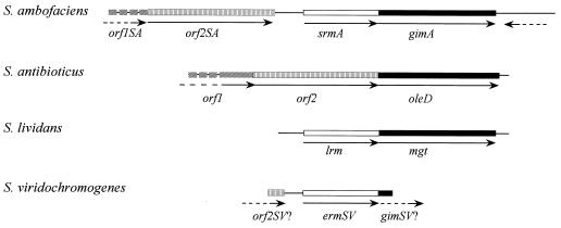 FIG. 7