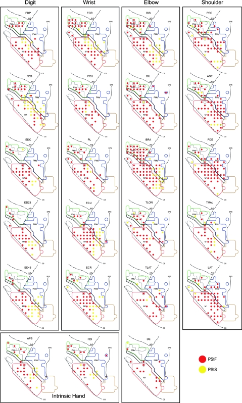 Figure 11.