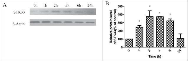 Figure 5.