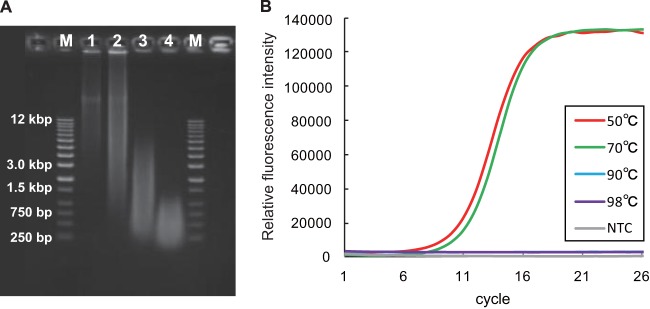 FIG 2