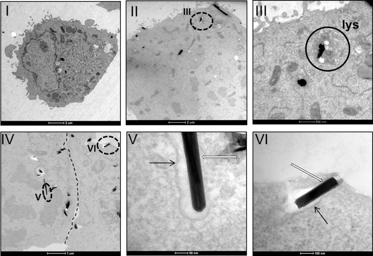 FIG. 9.