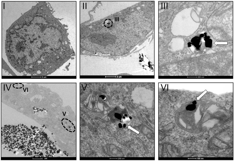 FIG. 10.