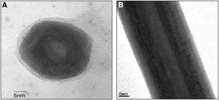 FIG. 1.