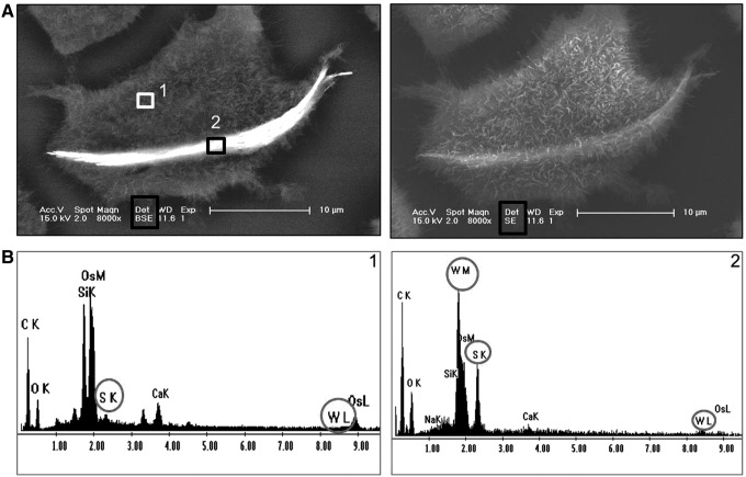 FIG. 7.