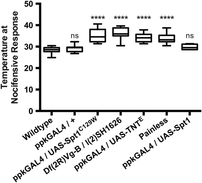 Figure 2.