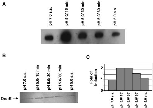 FIG. 6.