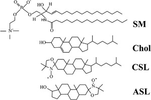 Fig. 2