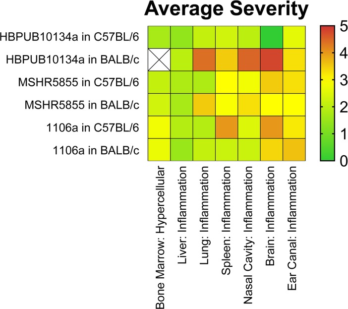 Fig 6