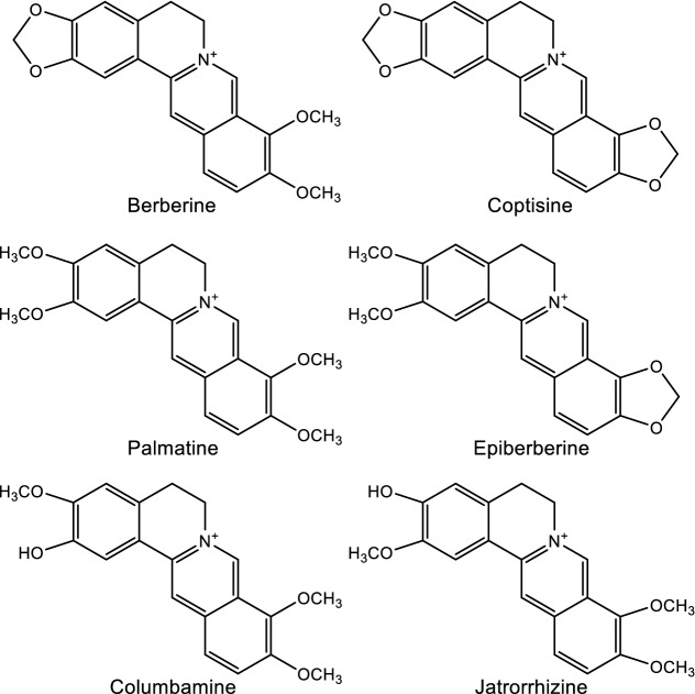 Fig. 2