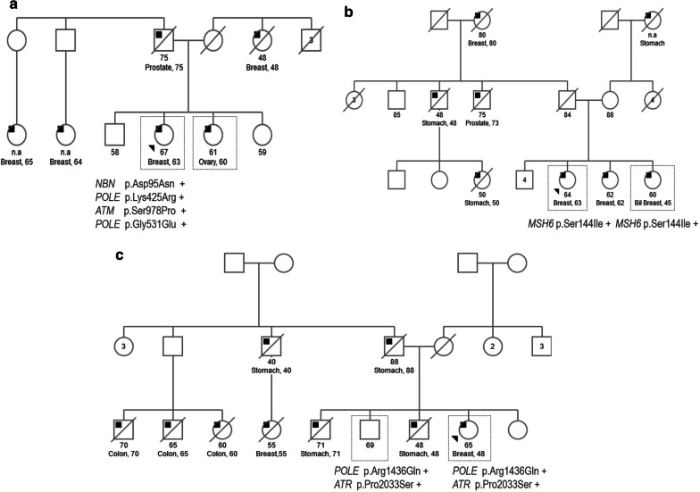 Fig. 3