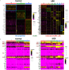Figure 6A is a set of two heatmaps. On the left, the heatmap titled control, plotting I E R 3, G P X 2, C H G B, M T-C Y B, P F N 1, M T-C O 2, K R T 8, R P S A, R P S 2, O L F M 4, X I S T, A Q P 5, F A M 3 B, C A L B 1, R P L 3, N E A T 1, T F F 1, T F F 3, and R P S 4 Y 1 (y-axis) across enteroendocrine cells progenitor, ranging from 0 to 2 in unit increments (x-axis). Expression, ranging from negative 2 to 2 in unit increments and identity, ranging from 2 to 0 in unit decrements. On the right, the heatmap titled uranium-bearing dust, plotting P T T G 1, C E N P F, I D 1, U B E 2 C, H I S T 1 H 4 C, P Y Y, C K S 2, U B E 2 S, A R H G D I B, C D K N 3, H M G B 2, C C N B 1, C A L B 1, A N X A1, C C N B 2, C D C 20, S C D, L D H A, K R T 19, M T 1 X, F A B P 1, S H 3 B G R L 3, P G K 1, T F F 3, P R S S 2, T F F 2, A L 16143.1, P C K 1, L Y P D 8, M A L A T 1, C H G B, C E S 1, R E G 4, E R H, T F F 1, D D I T 4, T U B B, L D H B, S 100 A 4, K L K 6, R P S 4 Y 1, A D H 1 C, C A P N 12, U R A D, A Q P 5, L E F T Y 1, F A M 3 B, A R E G, T P H 1, G D F 15, N E A T 1, and O L F M 4 (y-axis) across enterochromaffin cells, ranging from 0 to 7 in unit increments (x-axis). Expression, ranging from negative 2 to 2 in unit increments and identity, ranging from 7 to 0 in unit decrements, respectively. Figure 6B is a set of two heatmap. On the left, the heatmap titled control, plotting B M I 1, L G R 5, O L F M 4, P R O X 1, A T O H 1, M U C 2, O G F R L 1, I S L 1, A R X, G H R L, A M N, S C G 5, F A B P 1, F A B P 5, G C G, S C T, P Y Y, C L U, N T S, C C K, A R E G, V T N, T F F 1, A G R 2, F B N 1, R E G 4, T P H 1, and C H G A (y-axis) across enteroendocrine cells progenitor, ranging from 0 to 2 in unit increments (x-axis). Expression, ranging from 0 to 3 in unit increments and identity, ranging from 2 to 0 in unit decrements. On the right, the heatmap titled uranium-bearing dust, plotting B M I 1, L G R 5, O L F M 4, P R O X 1, A T O H 1, M U C 2, O G F R L 1, I S L1, A R X, G H R L, A M N, S C G 5, F A B P 1, F A B P 5, G C G, S C T, P Y Y, C L U, N T S, C C K, A R E G, V T N, T F F 1 A G R 2, F B N 1, R E G 4, T P H 1, and C H G A (y-axis) across enterochromaffin cells, ranging from 0 to 7 in unit increments (x-axis). Expression, ranging from 0 to 3 in unit increments and identity, ranging from 7 to 0 in unit decrements, respectively. Figure 6C is a Network analysis, including M T-CO, M T-C O 2, R P S 2, R P S 18, T P T 1, R P L 21, R P S 23, R P L 10, R P S 28, R P L 11, M T-A T P 6, R P S A, R P L 39, E N S P 00000449026, R P L 7 A, R P S 7, M T-C Y B, M T-C O 3. Figure 6D is an Enrichment map displaying the following information: the cell-cell signaling by Wnt, the cell surface receptor signaling pathway involved in cell-cell signaling, the canonical Wnt signaling pathway involved in negative regulation of the apoptotic process, and the Wnt signaling pathway that regulates cell proliferation. All of these pathways are interconnected.