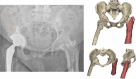 Fig. 8