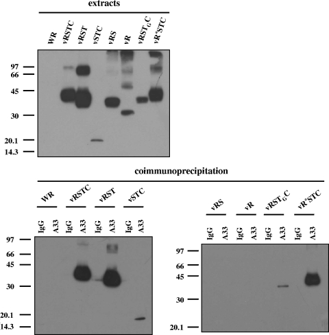 FIG. 9.