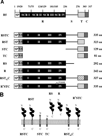 FIG. 5.