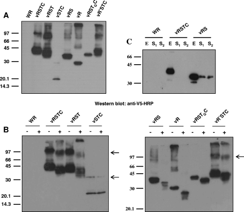 FIG. 7.