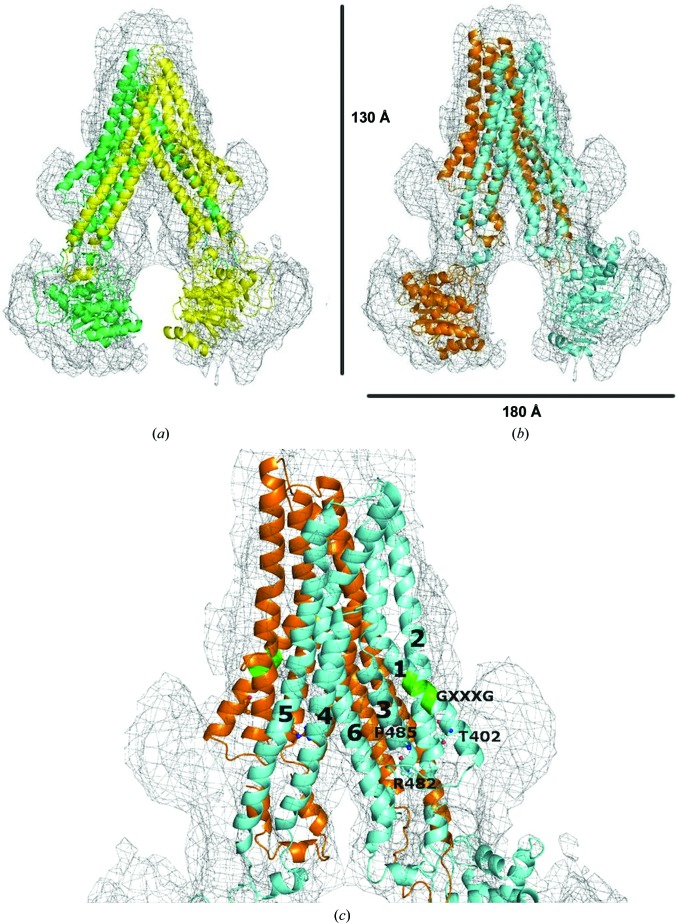 Figure 6