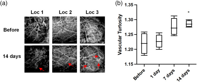 Fig. 6