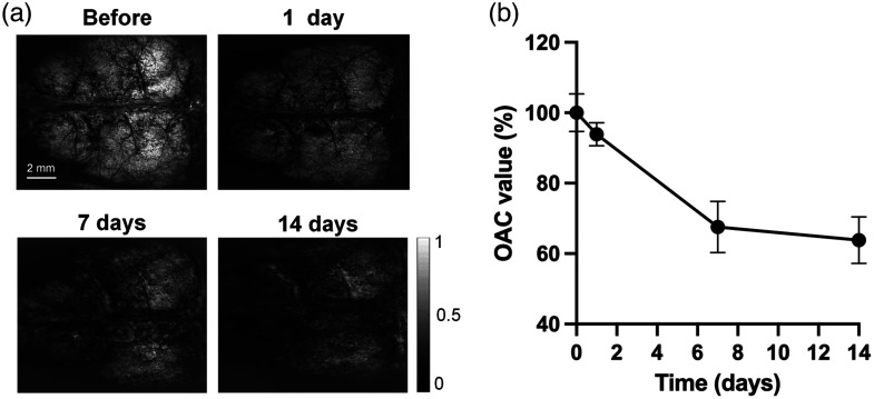 Fig. 8