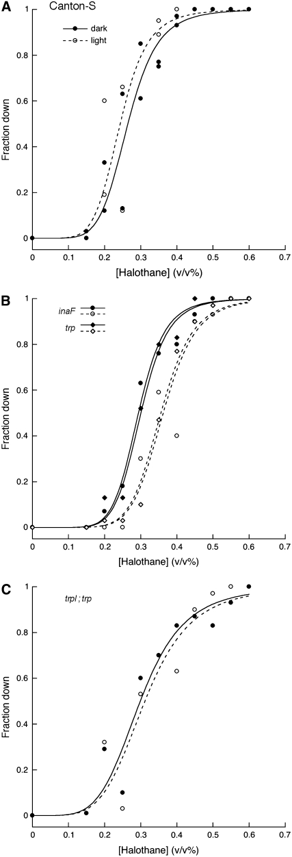 Figure 1.—