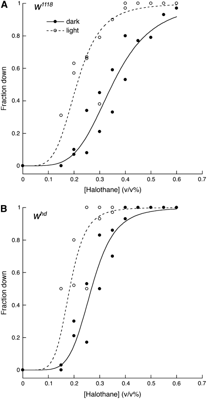 Figure 2.—