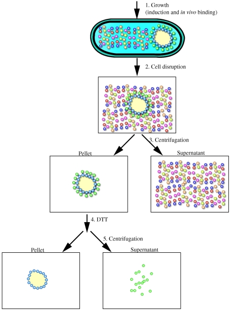 FIG.3.