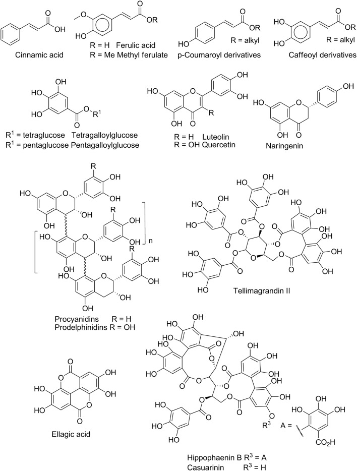 Fig. 3