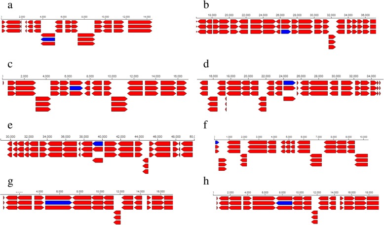 Fig. 10