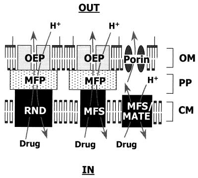 FIG. 1