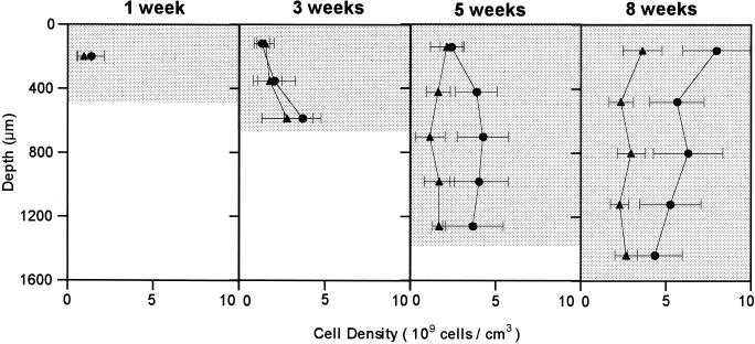 FIG. 5.