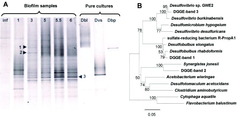 FIG. 6.