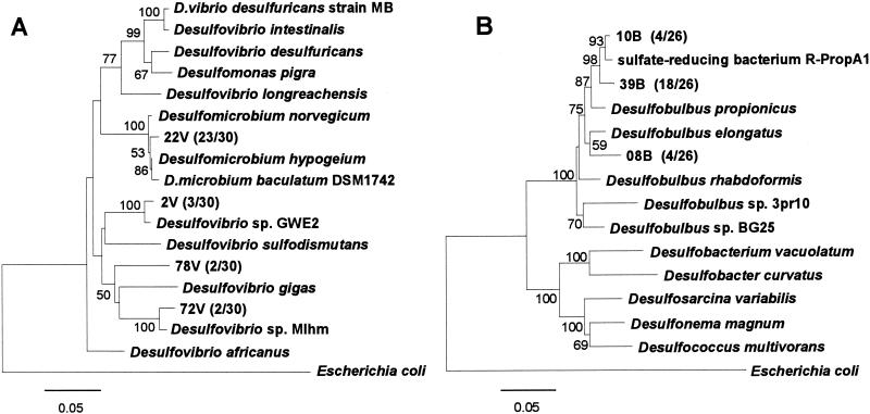 FIG. 7.