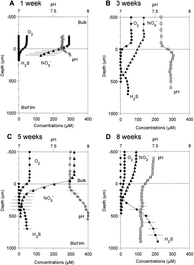 FIG. 2.