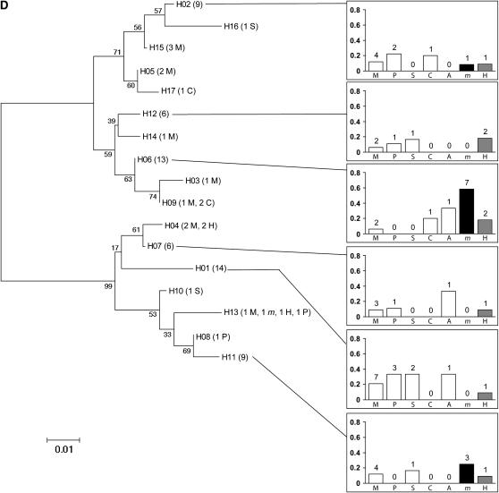 Figure 2.—