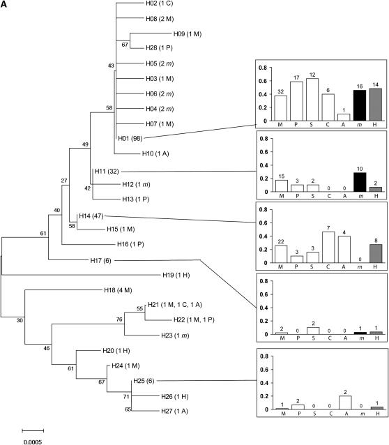 Figure 2.—