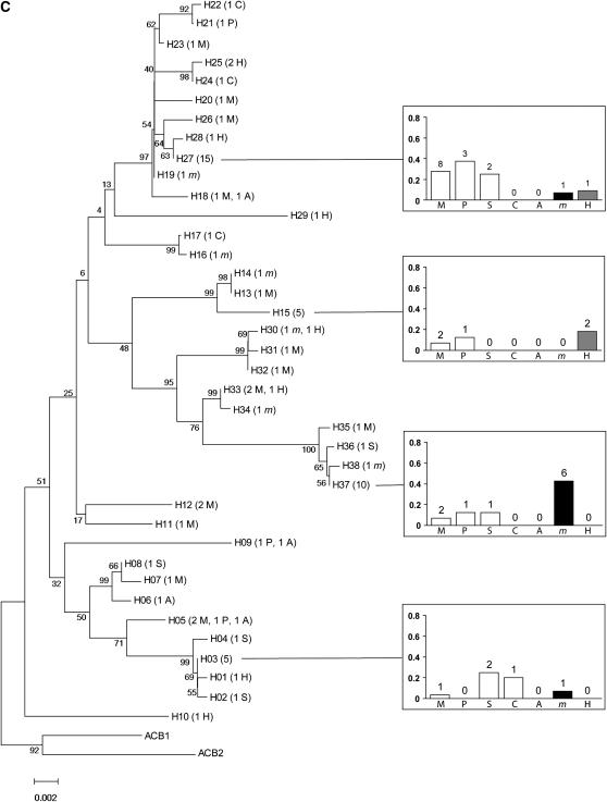 Figure 2.—