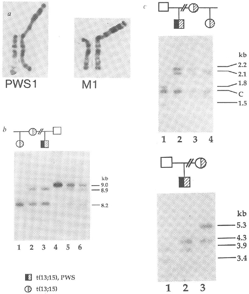 FIG. 1