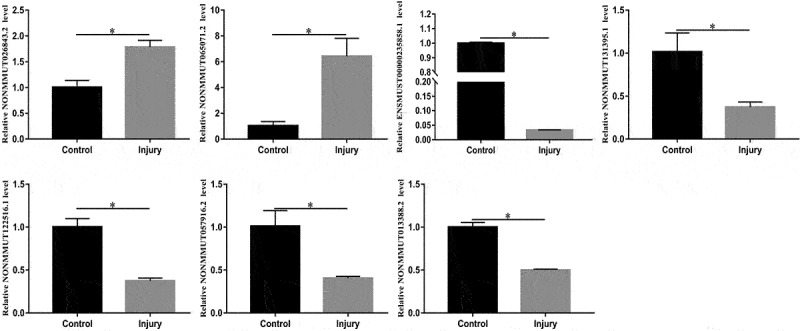 Figure 7.