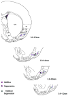 FIG. 6
