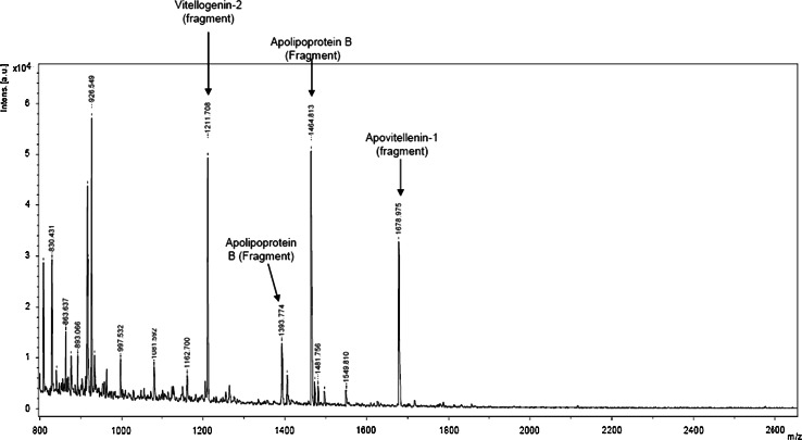 Fig. 2