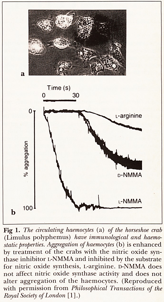 Fig 1.