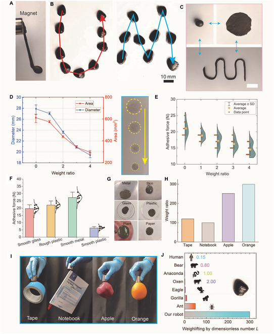 Fig. 2.