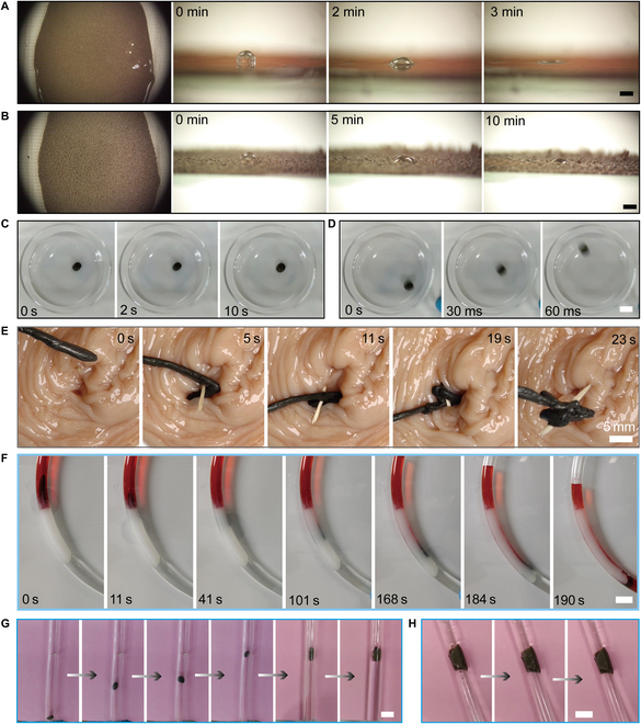 Fig. 6.
