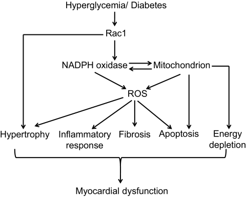 FIG. 9.