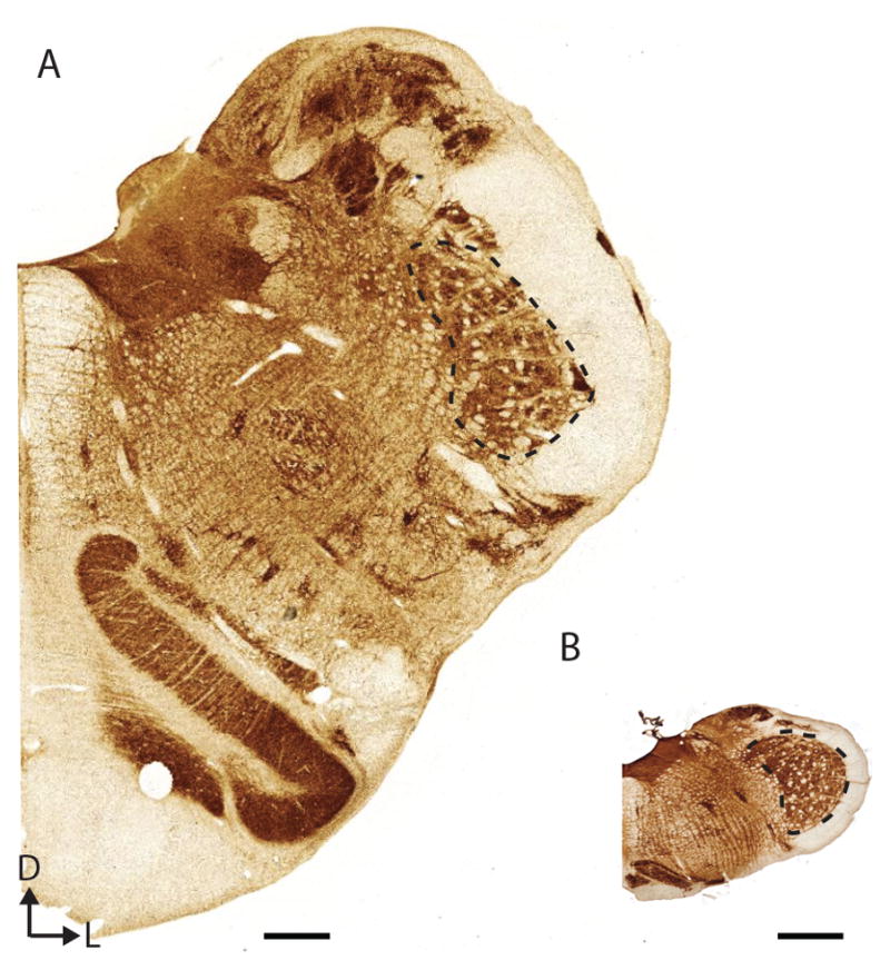 Figure 10